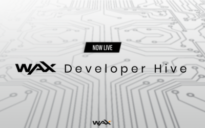 What is the WAX Developer Hive?